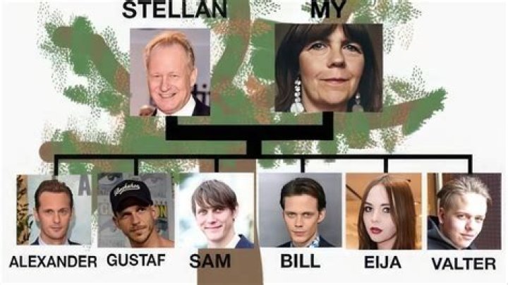 Stellan Skarsgård Biography, Age, Height, Wife, Net Worth, Family